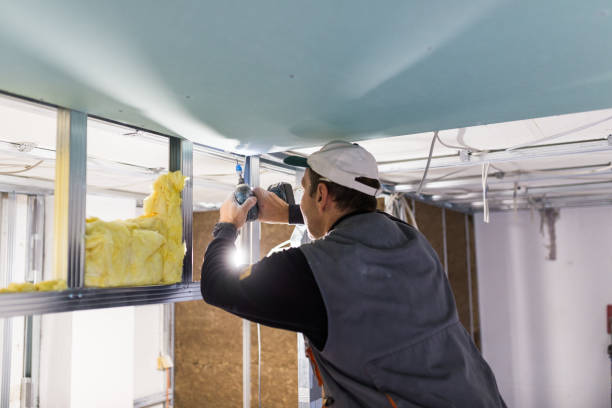 Best Residential Insulation in Logan Elm Village, OH