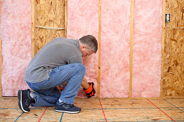 Best Commercial Insulation in Logan Elm Village, OH