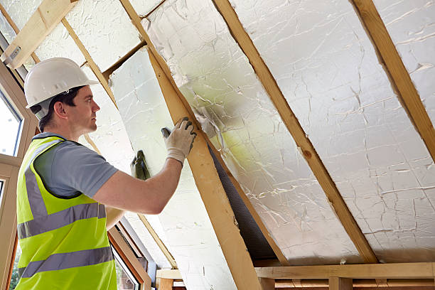 Best Energy Efficiency Insulation in Logan Elm Village, OH